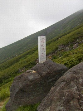 富士見石