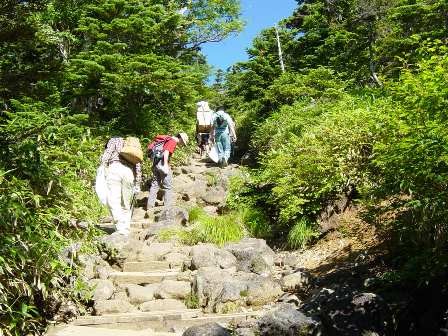 ここから道が険しくなっていきます。石段・木段を登っていきます