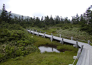 田の原自然公園