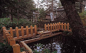 三笠山大神の池