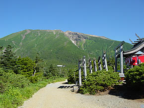田の原参道