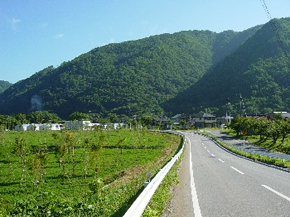 田舎ながら光ファイバー網がご利用いただけます