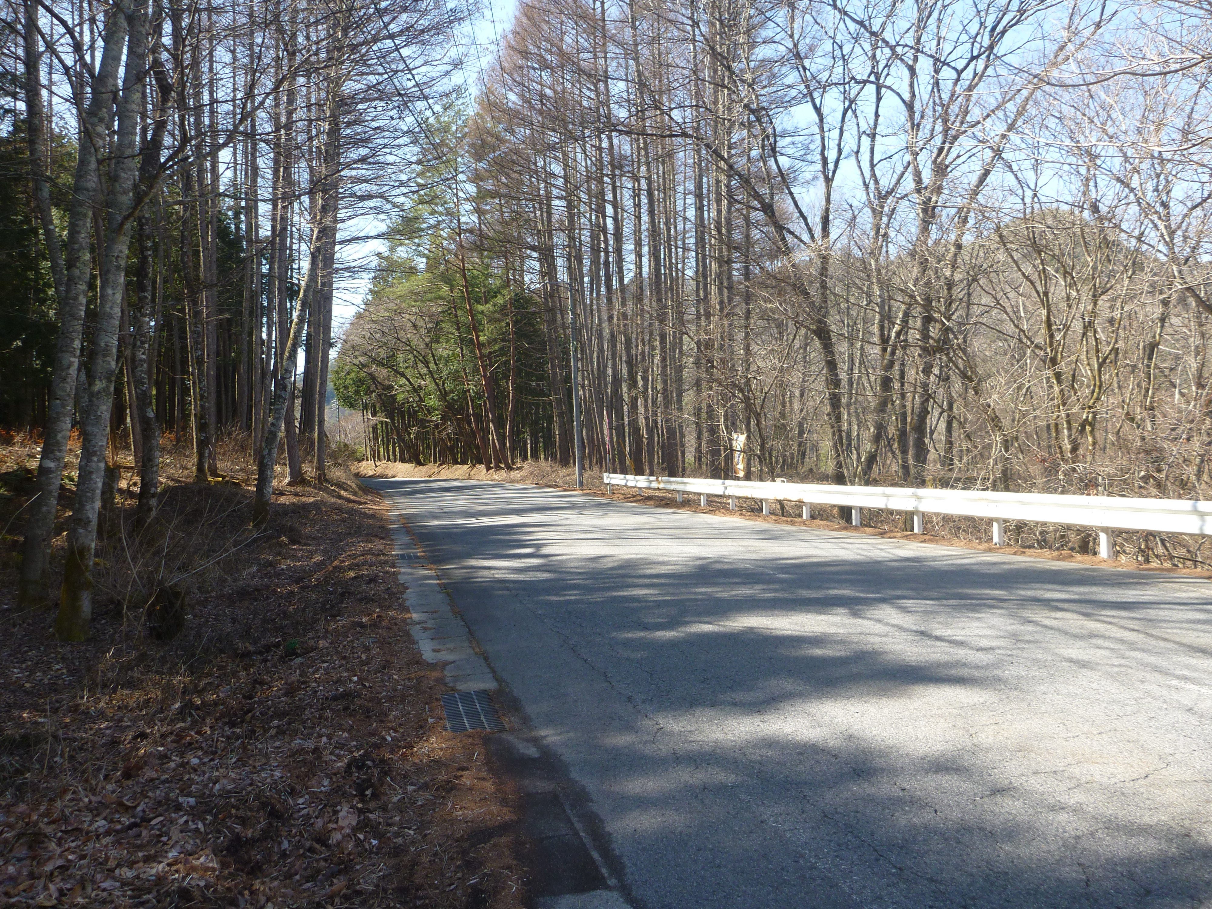崩越地区(村道第1号線沿い)