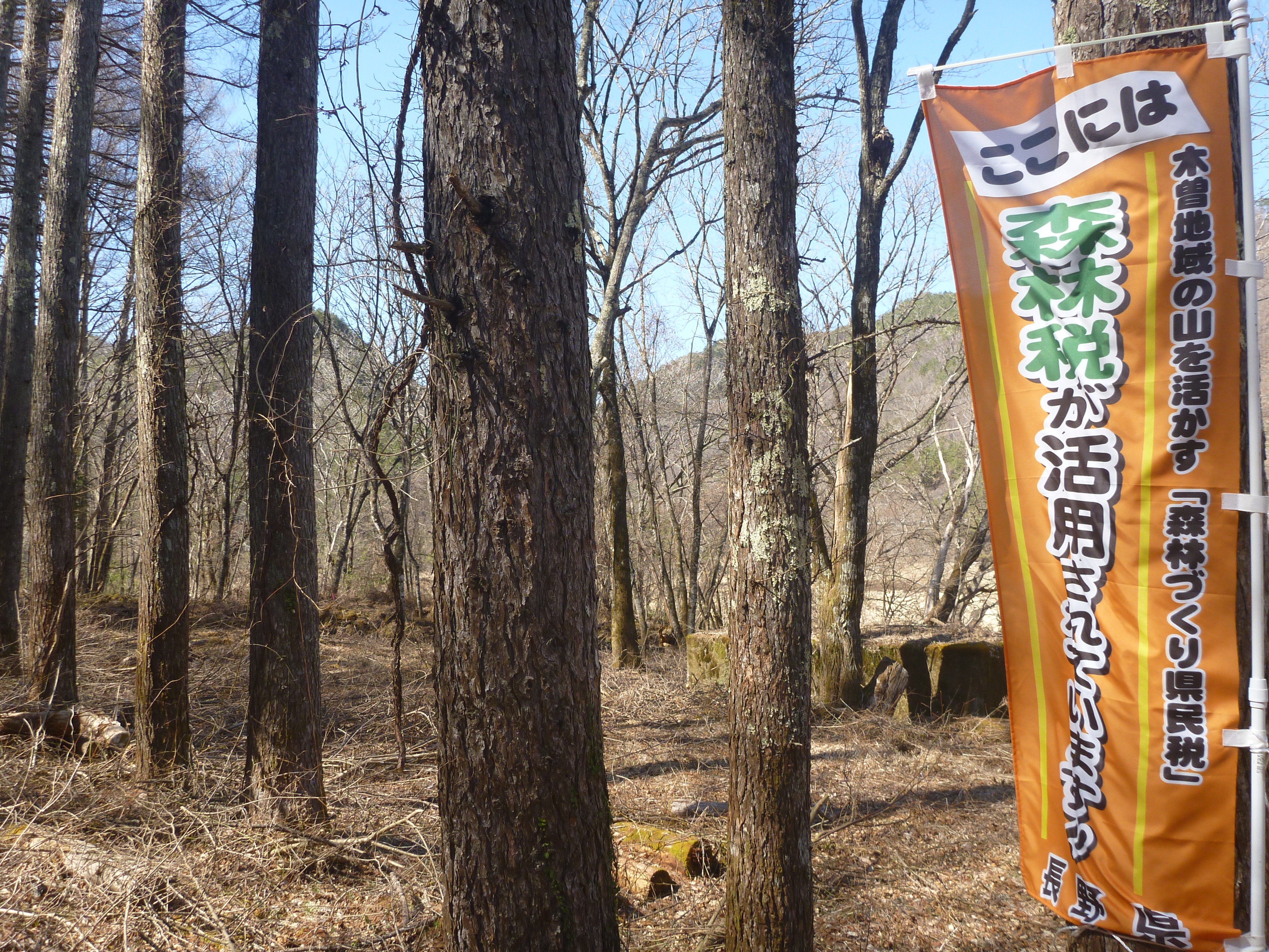 崩越地区（村道第1号線沿い）