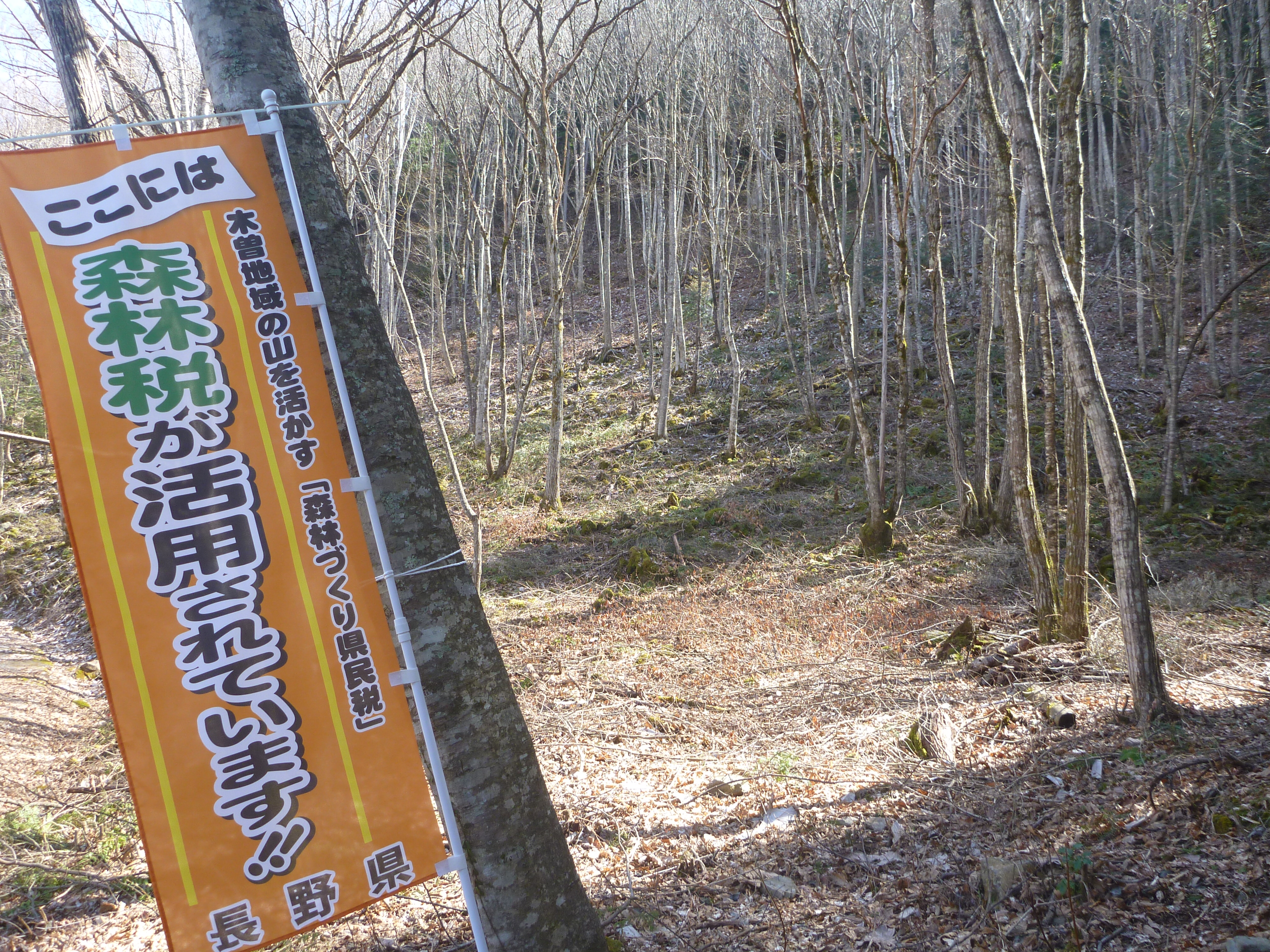 崩越地区（村道第125線沿い）