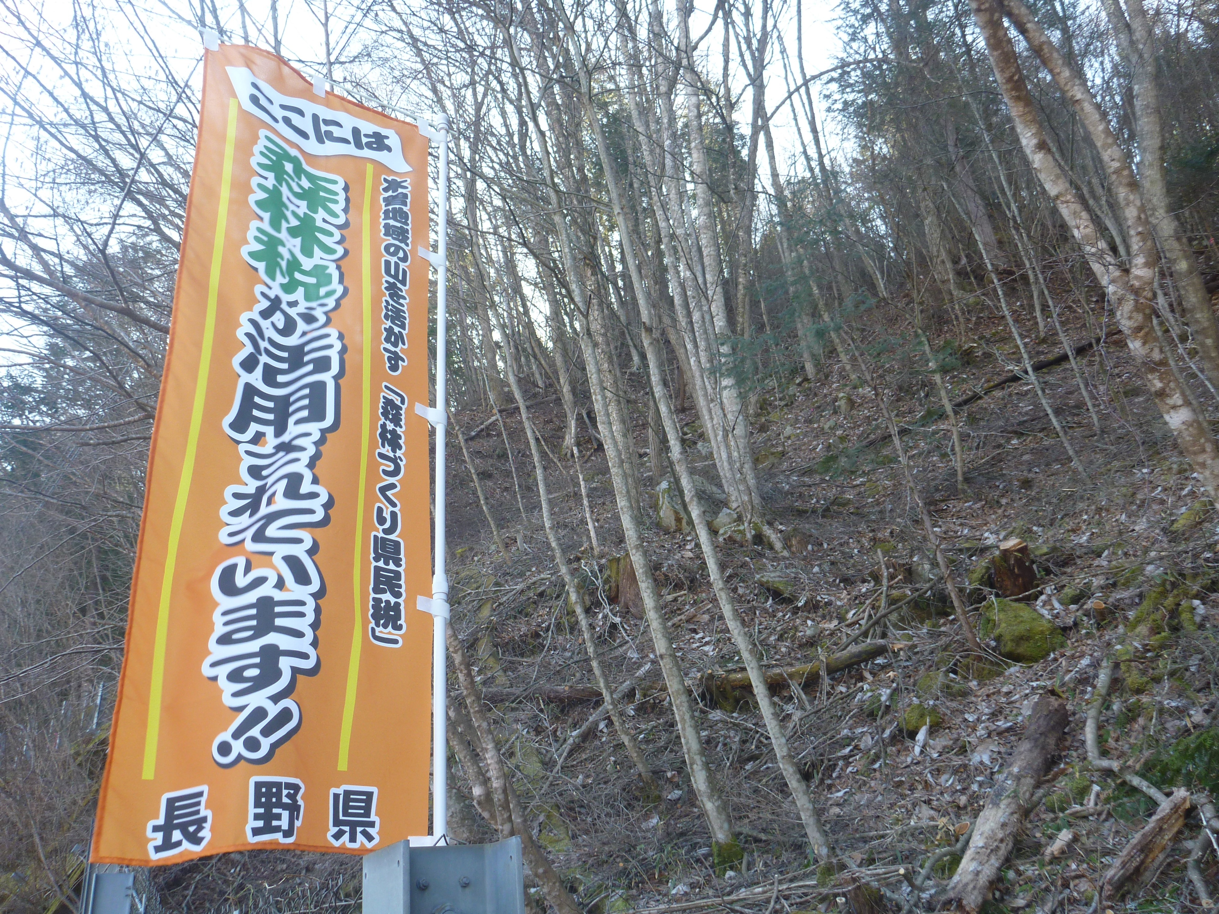 田島地区(村道第1号線沿い)